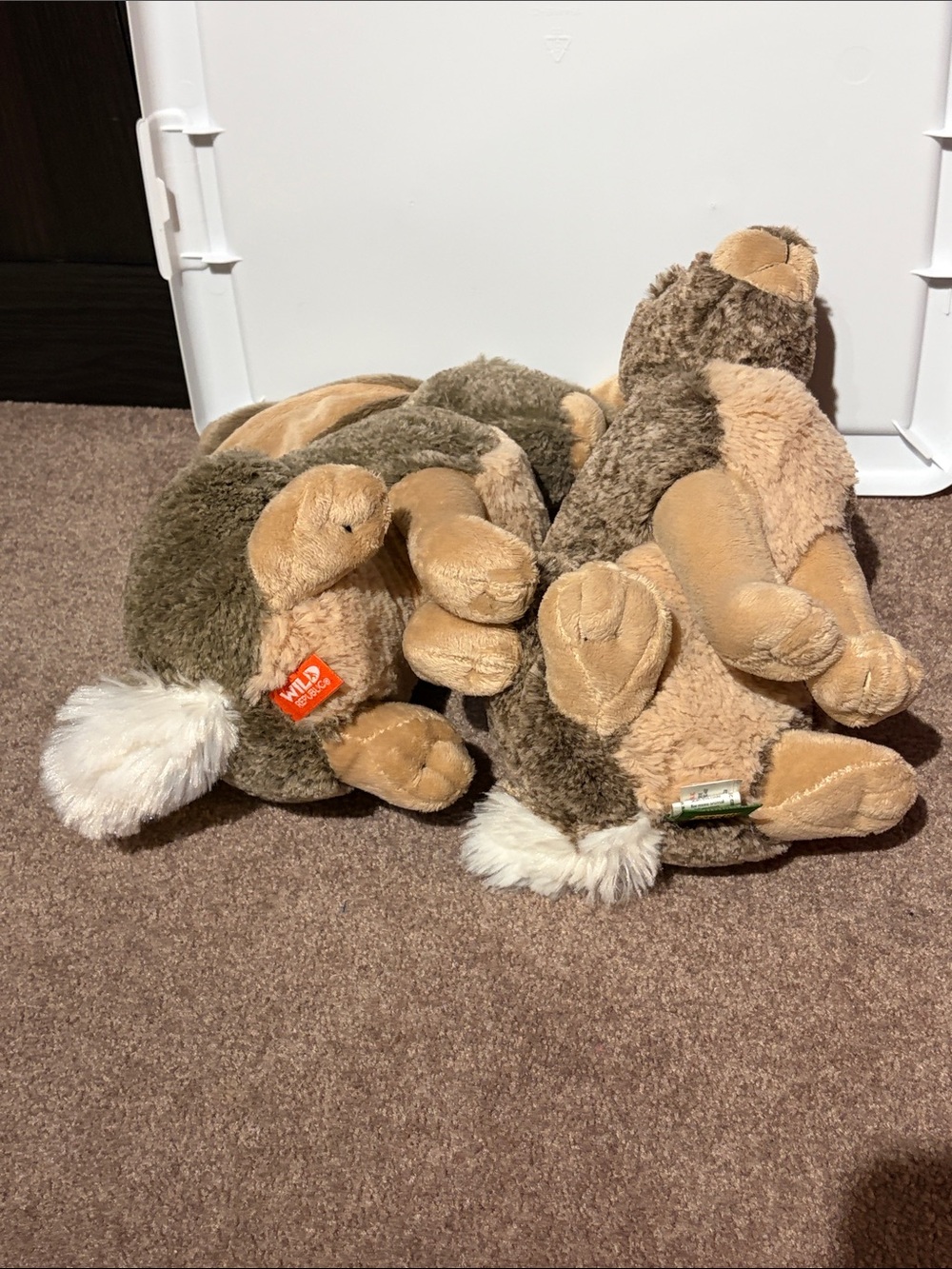 Plush Twin Jack Rabbits - Tan and Light Brown Soft Toys - Picture 5 of 5